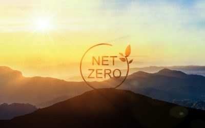 Understanding Net Zero